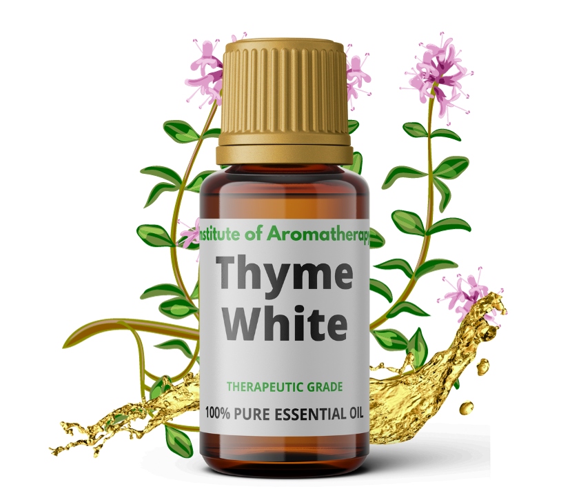 Éterický olej - Tymiánový esenciálny olej Inštitút aromaterapie 5 ml